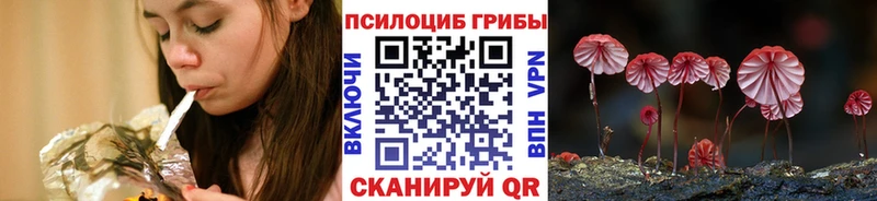 закладка  Великие Луки  Псилоцибиновые грибы мицелий 